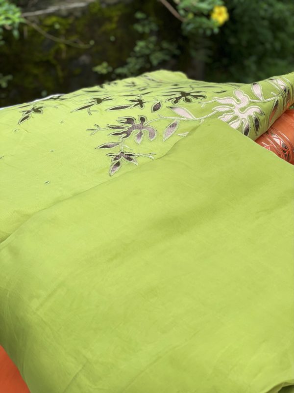 Pure Organza Fabric with Gold Antique Gota Appliqué - Image 9