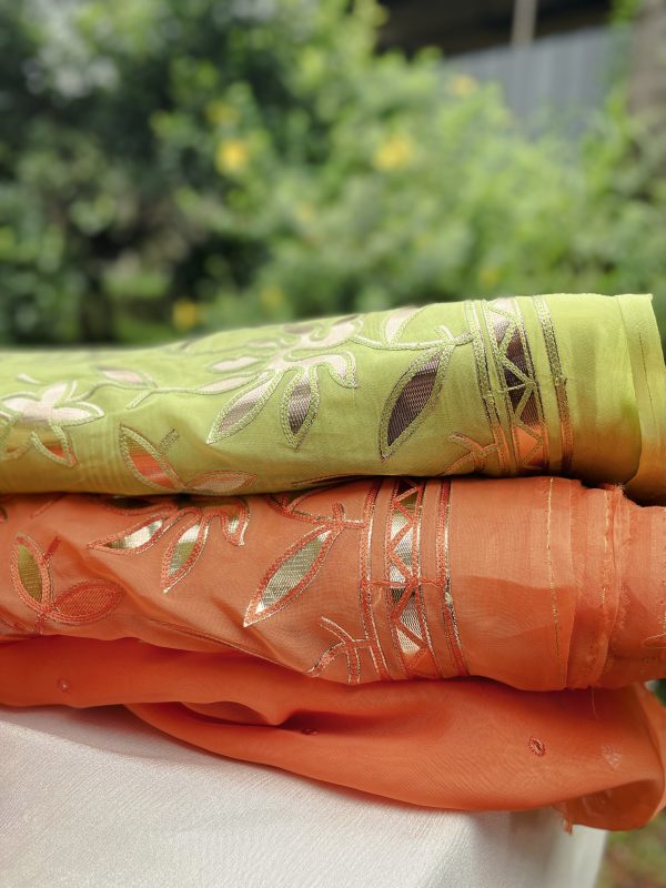 Pure Organza Fabric with Gold Antique Gota Appliqué - Image 10