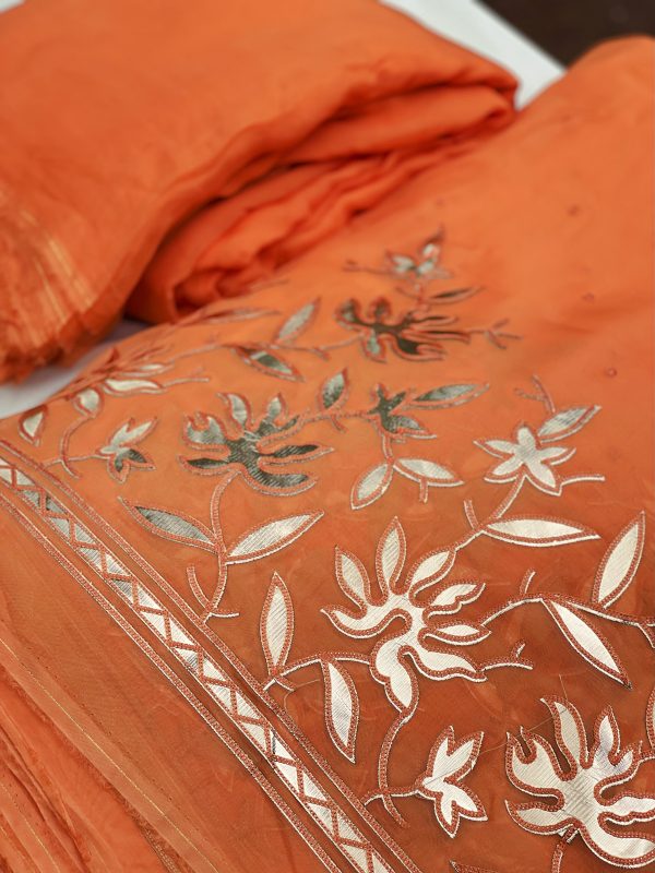 Pure Organza Fabric with Gold Antique Gota Appliqué - Image 6