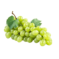 Wines & Drinks