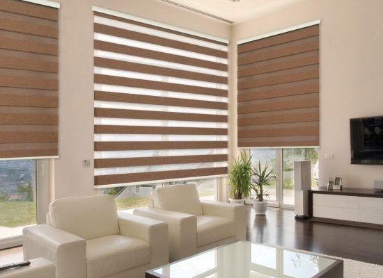 WINDOW blinds