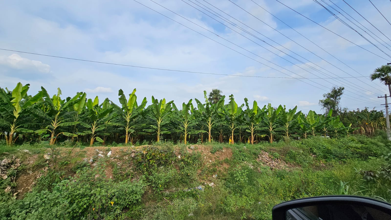 WhatsApp Image 2025-11-18 at 4.18.18 PM (1)