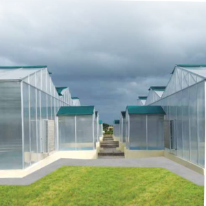 Green House Systems